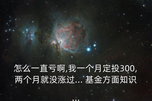 怎么一直虧啊,我一個(gè)月定投300,兩個(gè)月就沒漲過... 基金方面知識...