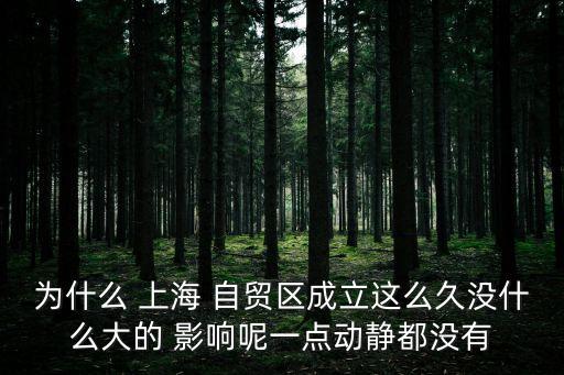 上海自貿區(qū)金融影響,自貿區(qū)設立對金融的影響