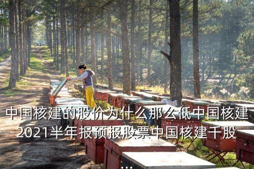 中國核建的股價為什么那么低中國核建2021半年報預報股票中國核建千股...