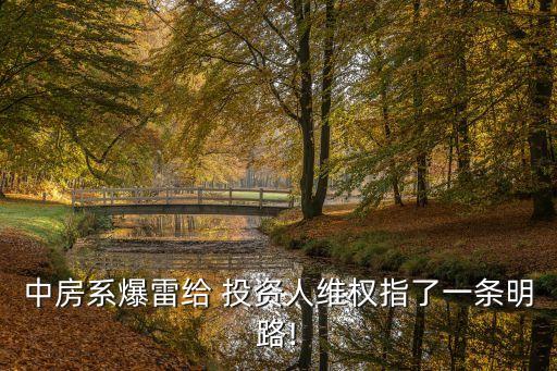 投資人監(jiān)督委員會的成立時(shí)間