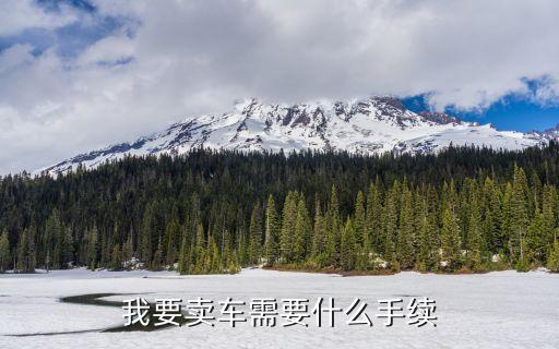我要賣(mài)車(chē)需要什么手續(xù)