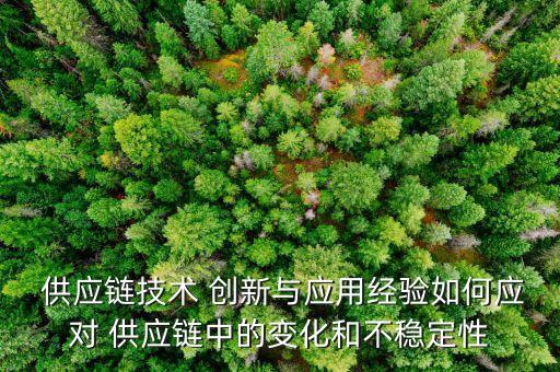  供應(yīng)鏈技術(shù) 創(chuàng)新與應(yīng)用經(jīng)驗(yàn)如何應(yīng)對 供應(yīng)鏈中的變化和不穩(wěn)定性