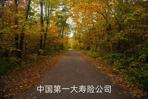 2015保險(xiǎn)公司盈利排名,保險(xiǎn)公司靠什么盈利賺錢