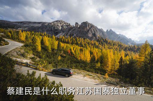 蔡建民是什么職務(wù)江蘇國(guó)泰獨(dú)立董事