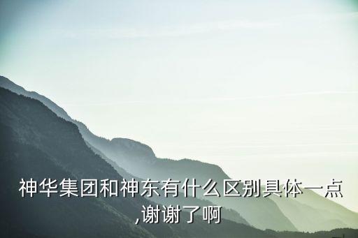 中國神華能源股份有限公司2013年財(cái)報(bào)