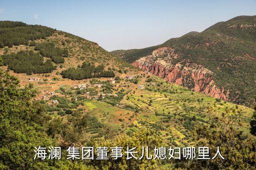  海瀾 集團(tuán)董事長兒媳婦哪里人