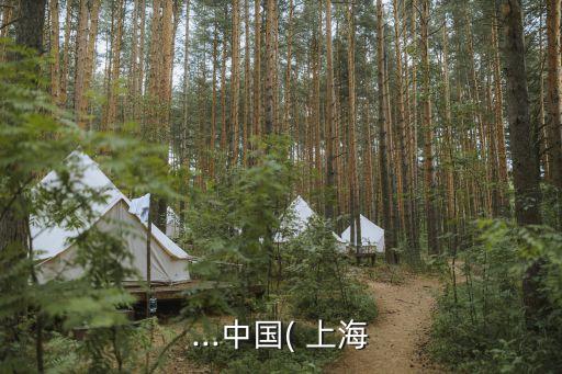 ...中國(guó)( 上海