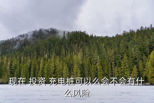現(xiàn)在 投資 充電樁可以么會不會有什么風(fēng)險(xiǎn)