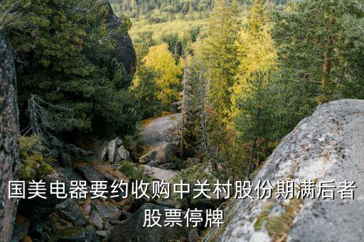 國(guó)美電器要約收購(gòu)中關(guān)村股份期滿(mǎn)后者 股票停牌