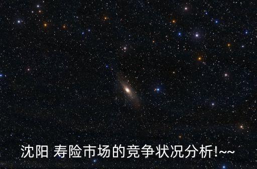 沈陽 壽險(xiǎn)市場(chǎng)的競(jìng)爭(zhēng)狀況分析!~~