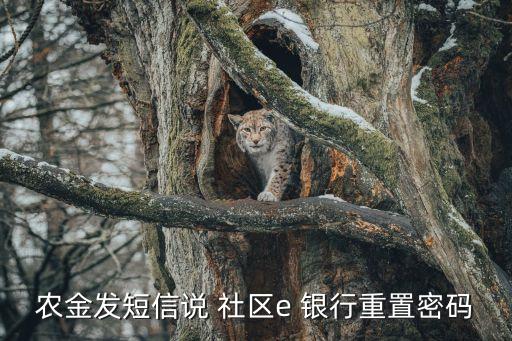 農(nóng)金發(fā)短信說(shuō) 社區(qū)e 銀行重置密碼