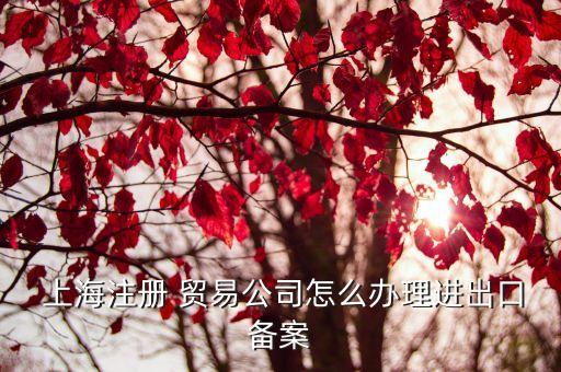  上海注冊 貿(mào)易公司怎么辦理進出口備案