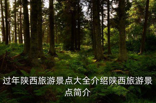 過年陜西旅游景點(diǎn)大全介紹陜西旅游景點(diǎn)簡(jiǎn)介