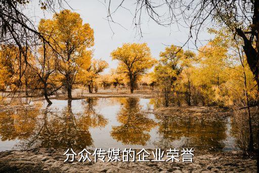 分眾傳媒的企業(yè)榮譽