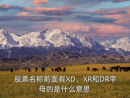  股票名稱前面有XD、XR和DR字母的是什么意思
