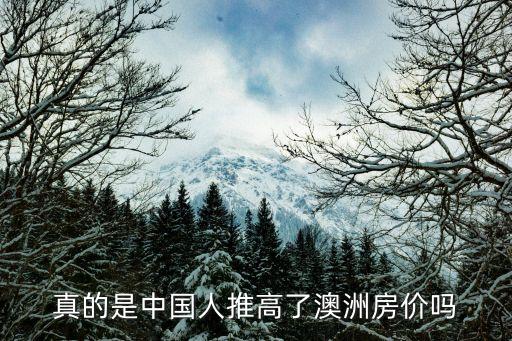 真的是中國人推高了澳洲房價(jià)嗎