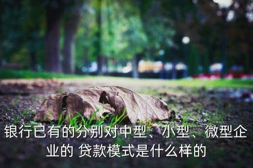 銀行已有的分別對(duì)中型、小型、微型企業(yè)的 貸款模式是什么樣的