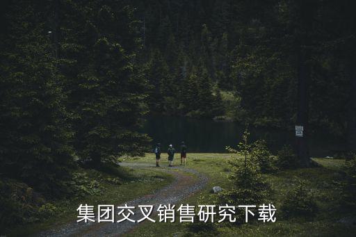 金控集團(tuán)交叉銷(xiāo)售研究下載