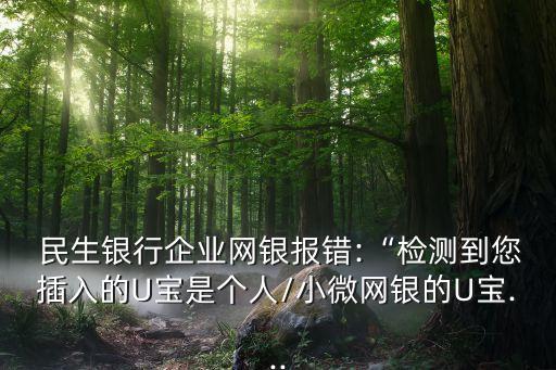 金信網民生銀行,中電金信民生銀行項目