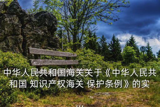 中華人民共和國海關(guān)關(guān)于《中華人民共和國 知識產(chǎn)權(quán)海關(guān) 保護(hù)條例》的實(shí)...