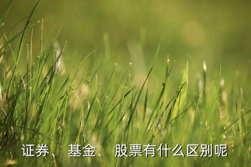 證券、 基金、 股票有什么區(qū)別呢