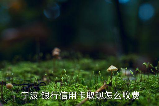  寧波 銀行信用卡取現怎么收費