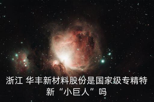 浙江 華豐新材料股份是國家級專精特新“小巨人”嗎