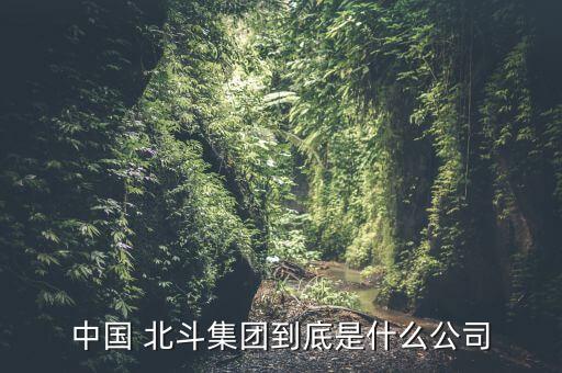 中國(guó) 北斗集團(tuán)到底是什么公司
