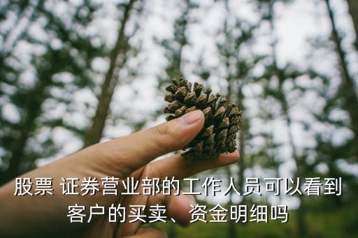 股票 證券營業(yè)部的工作人員可以看到客戶的買賣、資金明細(xì)嗎