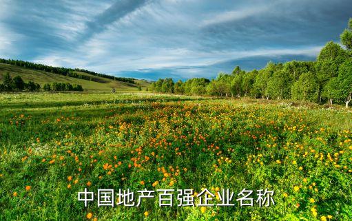 中國地產(chǎn)百強(qiáng)企業(yè)名稱