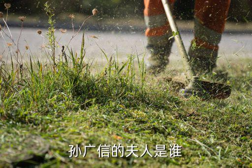 孫廣信的夫人是誰(shuí)