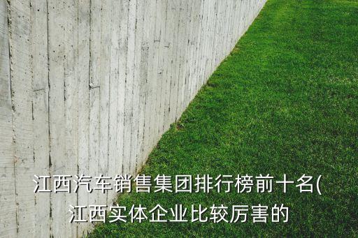  江西汽車銷售集團(tuán)排行榜前十名( 江西實體企業(yè)比較厲害的