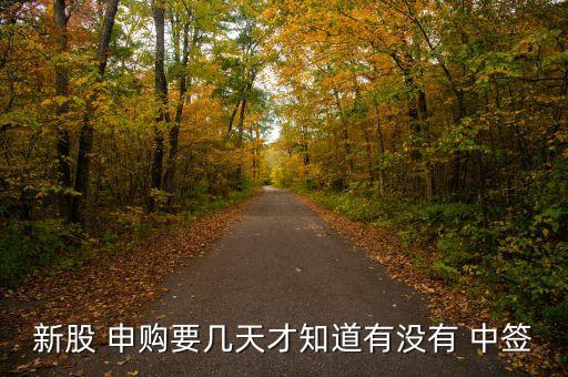 申購(gòu)股票是否中簽,股票申購(gòu)成功后,中簽了然后沒錢怎么辦