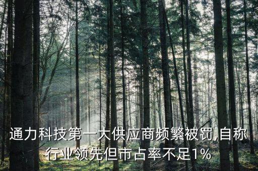 株冶集團(tuán)招股說(shuō)明書(shū)