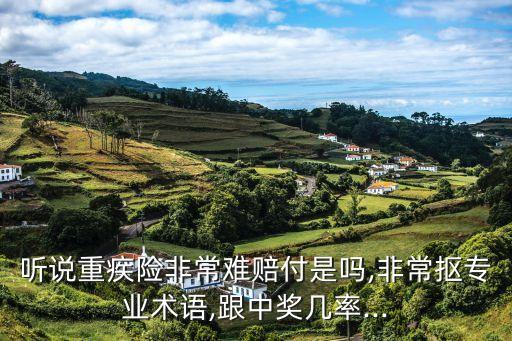 聽說重疾險(xiǎn)非常難賠付是嗎,非常摳專業(yè)術(shù)語,跟中獎(jiǎng)幾率...