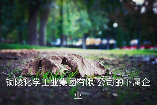 銅陵化學工業(yè)集團有限 公司的下屬企業(yè)