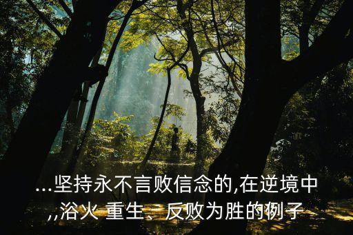 ...堅持永不言敗信念的,在逆境中,,浴火 重生、反敗為勝的例子
