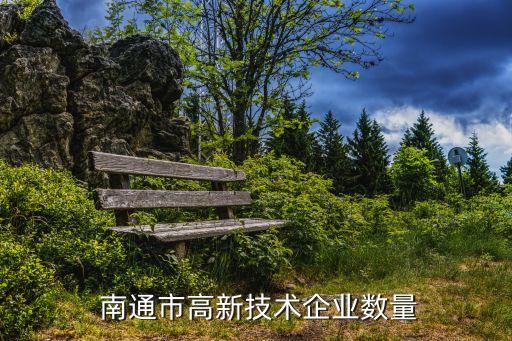  南通市高新技術企業(yè)數(shù)量