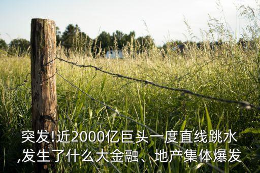 中南集團(tuán)營(yíng)收,中南電力設(shè)計(jì)院營(yíng)收
