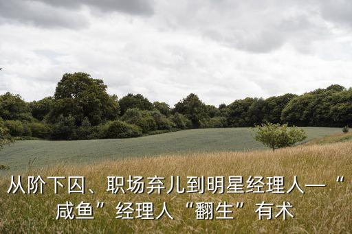 從階下囚、職場(chǎng)棄兒到明星經(jīng)理人—“咸魚”經(jīng)理人“翻生”有術(shù)