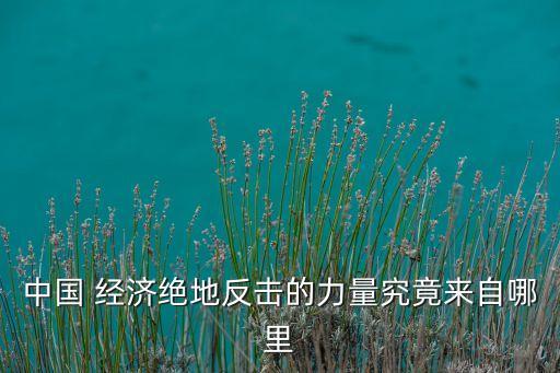 中國(guó) 經(jīng)濟(jì)絕地反擊的力量究竟來(lái)自哪里