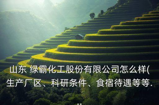 山東 綠霸化工股份有限公司怎么樣(生產(chǎn)廠區(qū)、科研條件、食宿待遇等等...