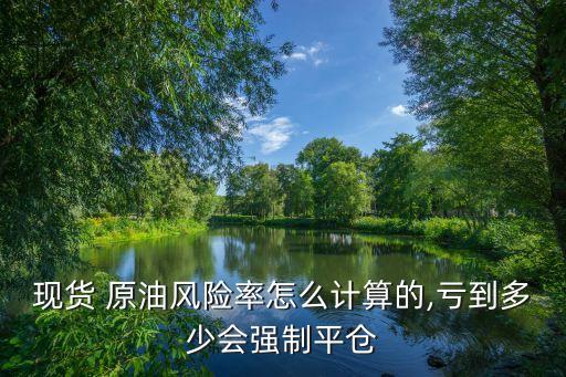 現(xiàn)貨 原油風(fēng)險率怎么計算的,虧到多少會強(qiáng)制平倉