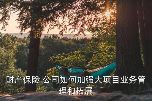 財產(chǎn)保險 公司如何加強大項目業(yè)務管理和拓展