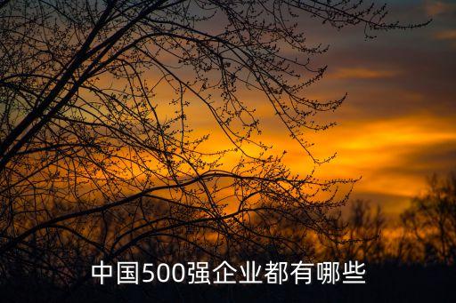 中國500強(qiáng)企業(yè)都有哪些
