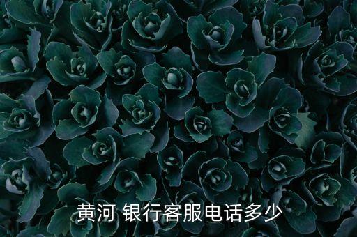 黃河銀行金喜鵲產品2016年