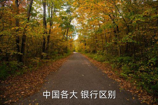 中國(guó)各大 銀行區(qū)別