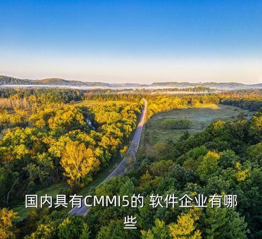 遠光瑞為軟件技術(shù)有限公司,江蘇海隆軟件技術(shù)有限公司