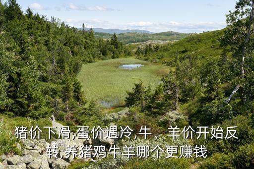 豬價下滑,蛋價遇冷,牛、羊價開始反轉(zhuǎn),養(yǎng)豬雞牛羊哪個更賺錢