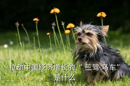 書(shū)籍關(guān)于投資消費(fèi)出口三駕馬車,2022年投資消費(fèi)出口三駕馬車